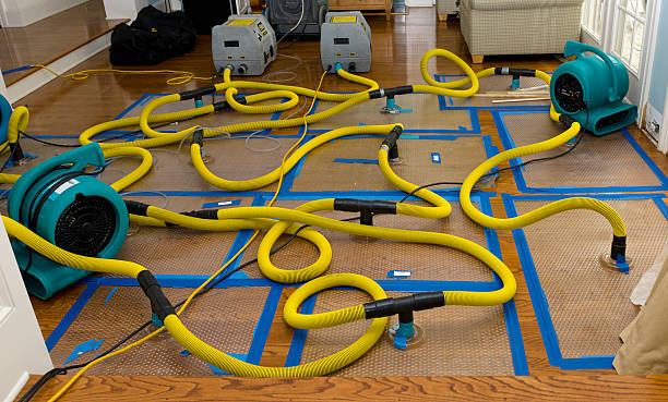 Professional Burst Pipe Water Damage technician working in Roselle, IL